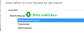 Datei:DatenImport-Wizard-Ausfuehren-2b.png